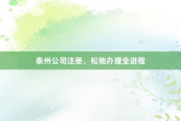 泰州公司注册，松驰办理全进程