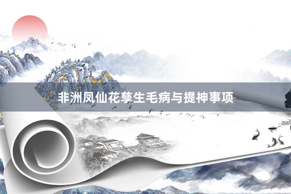 非洲凤仙花孳生毛病与提神事项
