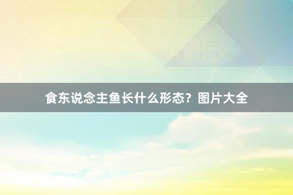 食东说念主鱼长什么形态？图片大全