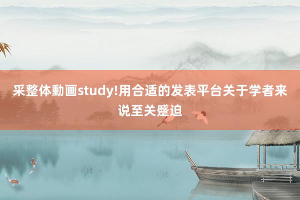 采整体動画study!用合适的发表平台关于学者来说至关蹙迫